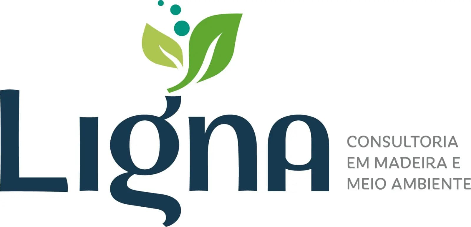 Ligna Consultoria em Madeira e Meio Ambiente